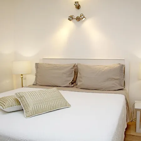 Swan & 住宿加早餐酒店