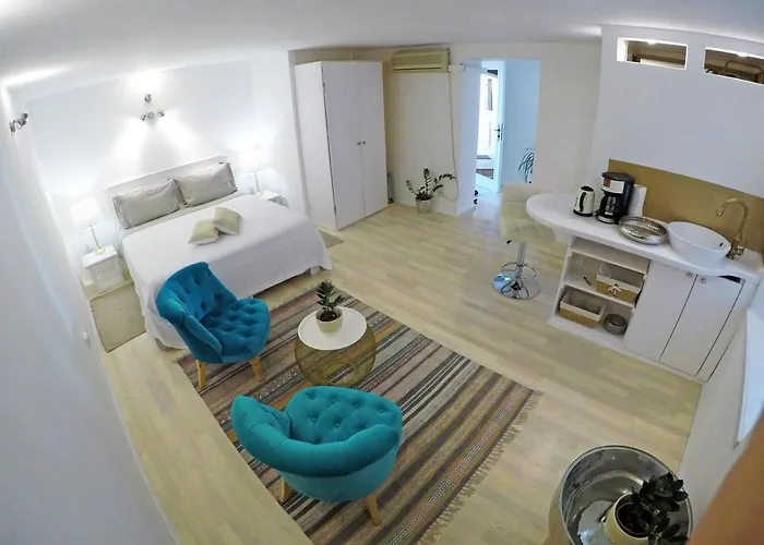 Swan & 住宿加早餐酒店