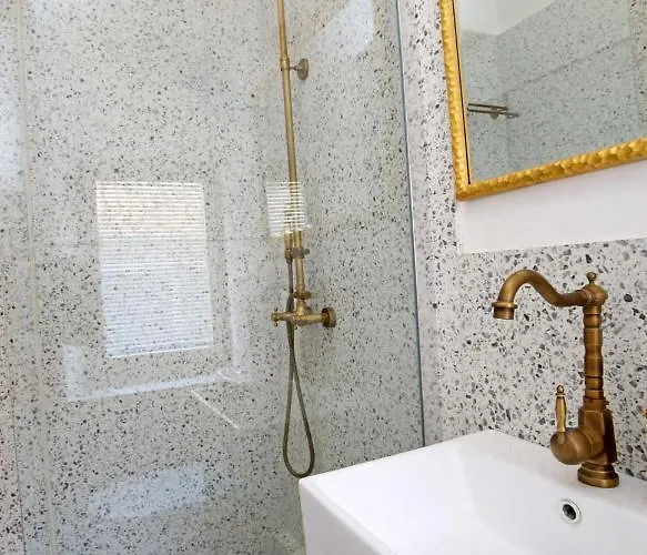 住宿加早餐酒店 Swan & 希贝尼克