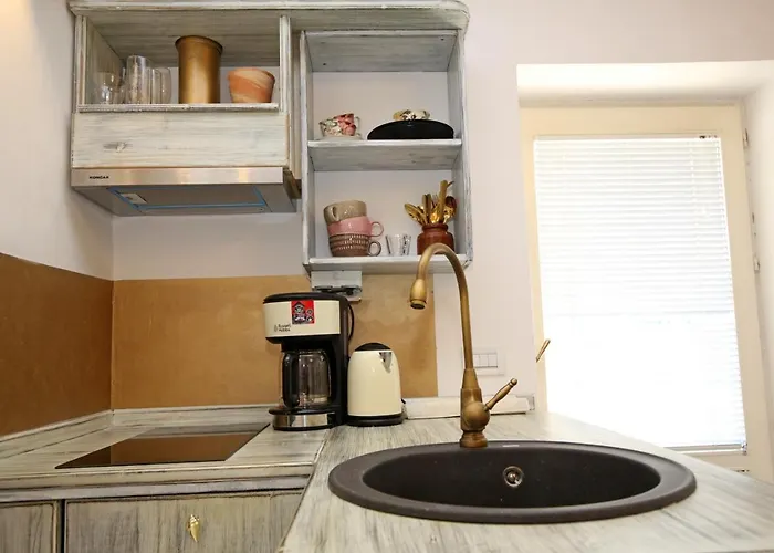 住宿加早餐酒店 Swan & 希贝尼克